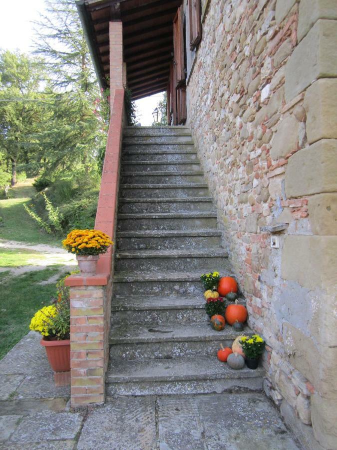 Bed and Breakfast Tana del Tasso San Secondo Esterno foto