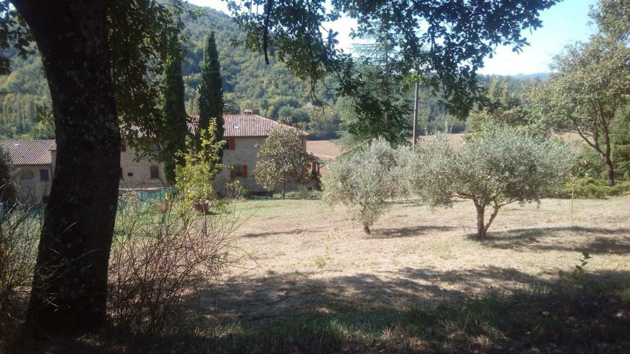 Bed and Breakfast Tana del Tasso San Secondo Esterno foto