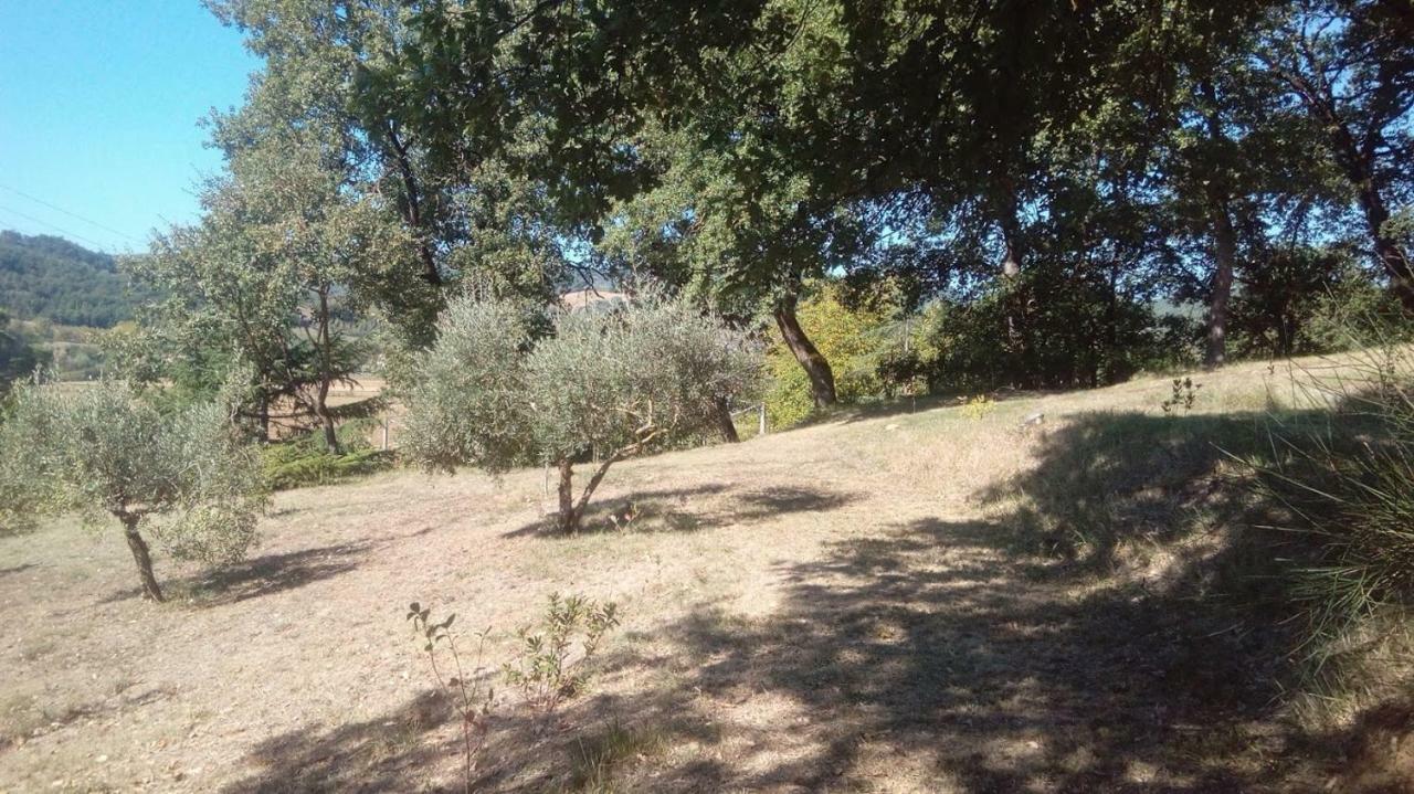 Bed and Breakfast Tana del Tasso San Secondo Esterno foto